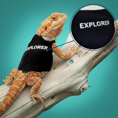 Image of Premium 2-Pack Bearded Dragon Leash and Harness Set - Adjustable Costume and Clothes for Bearded Dragons | Secure Walking Gear with Fun and Stylish Designs