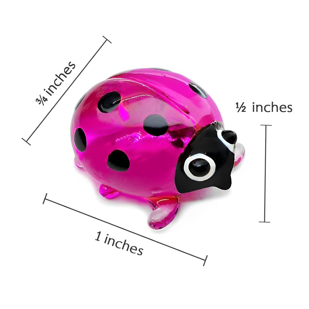 Amazon.com: WitnyStore 1