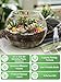 Terrarium Kit Adults - Includes Pumice, Moss, Soil, Pebbles, Charcoal, 2 Tools, Mushroom Ornaments for Succulent Cactus, Terrarium Accessories Decor Gifts for Starter Women