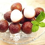 シーフードマックス 冷凍 ライチ 1kg （500ｇ×2P）・冷凍ライチ【２P】・