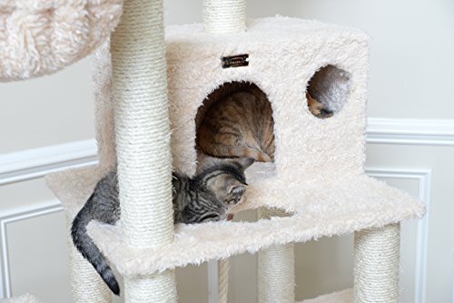 Aeromark-International-Armarkat-Mult-Level-Cat-Tree-Hammock-Bed-Climbing-Center-for-Cats-and-Kittens-A6901-Beige-69-Height