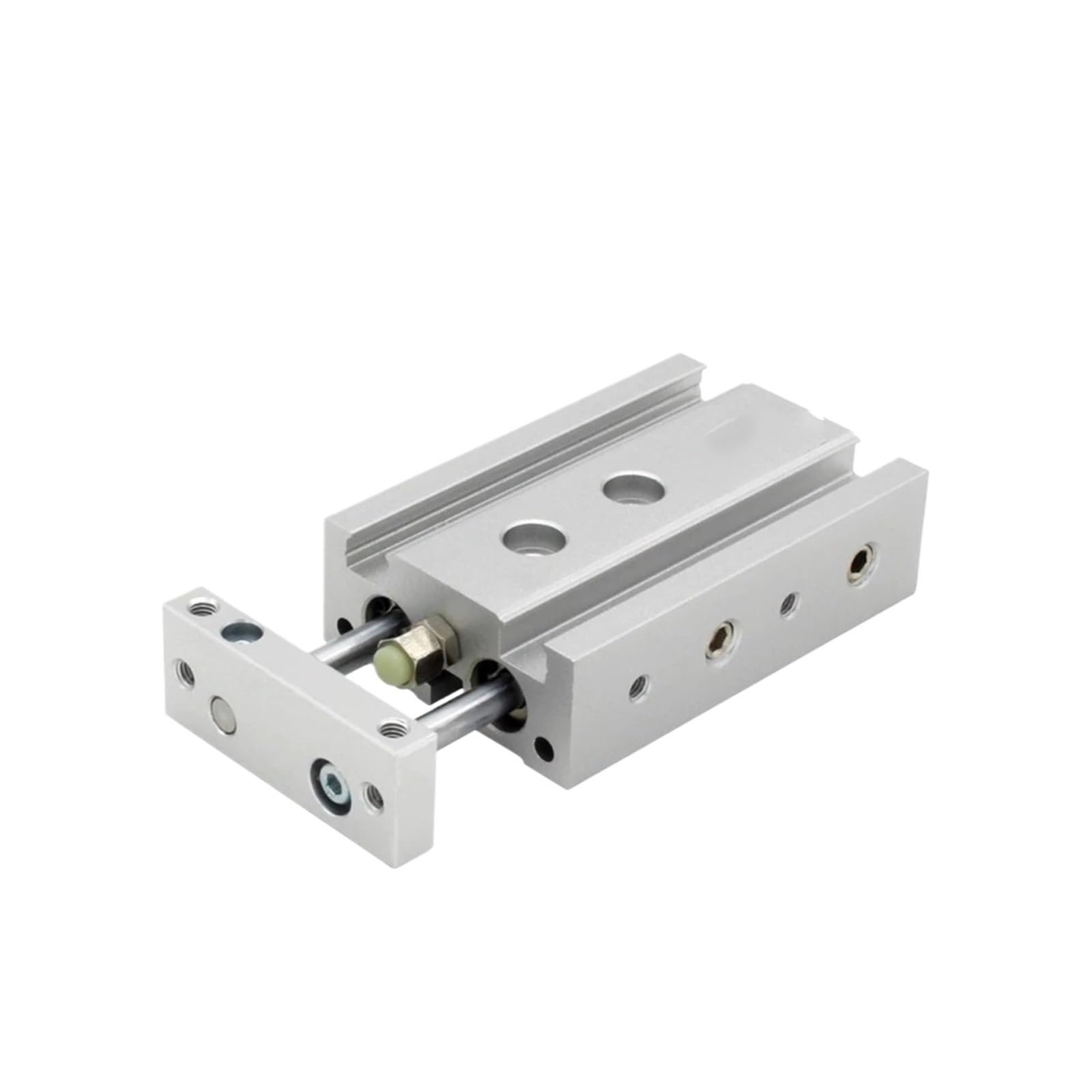 Vérin pneumatique TR32 double tige contre la flexion mécanique
