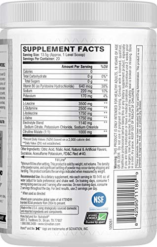 XTEND Original BCAA Powder Rainbow Sherbet | Sugar Free Post Workout Muscle Recovery Drink with Amino Acids | 7g BCAAs for Men & Women | 20 Servings - Thumbnail 4