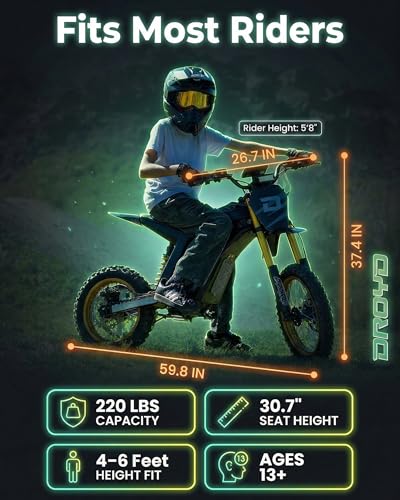 Droyd Berzerker 3000W Electric Bike