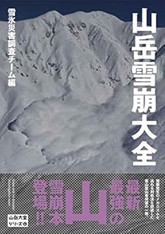 山岳雪崩大全 雪崩発生のメカニズムと逃れる対処法を詳述した雪山登山者待望の一冊。 (山岳大全シリーズ)