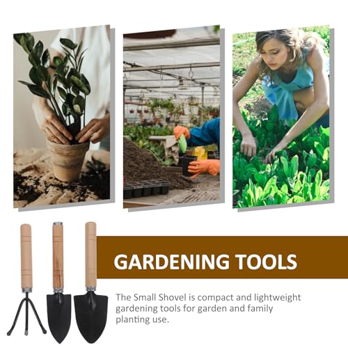 Set de herramientas de jardinería 3 piezas con pala y rastrillo miniatura 7