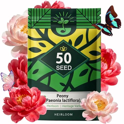 Peony Seeds (Paeonia lactiflora) Long-Lived Perennial Flowers Large Fragrant Blooms Lush Double-Style Landscape Focal Point Pack of 50 Seeds