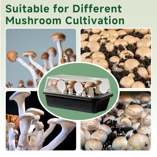 Image of 24-Pcs 3 inch Monotub Adhesive Filter Disks - 2mm Thick Monotub Filter Discs for Mushroom Growing Supplies - Replacement Filter Pads for Monotub Filters and Fruiting Chambers