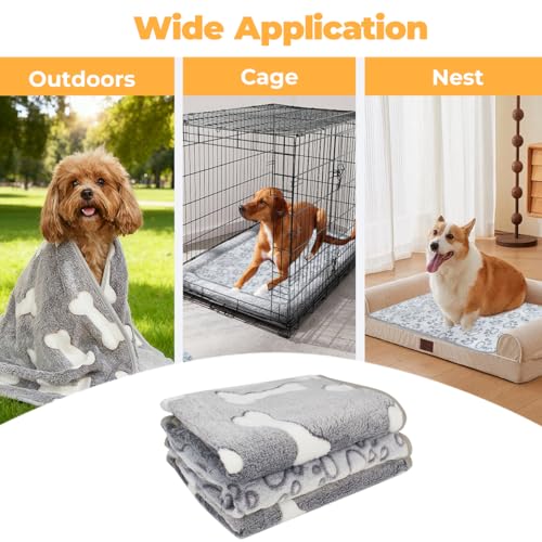 3er-Pack Hundedecken 52x76cm, Haustierdecke für Kleine Mittlere Hunde Katzen, Grau Fleecedecke für Hunde, Weich und Langlebig, Katzendecke Dünn, Pet Warm Blanket Set Ideal für Sofas & Betten