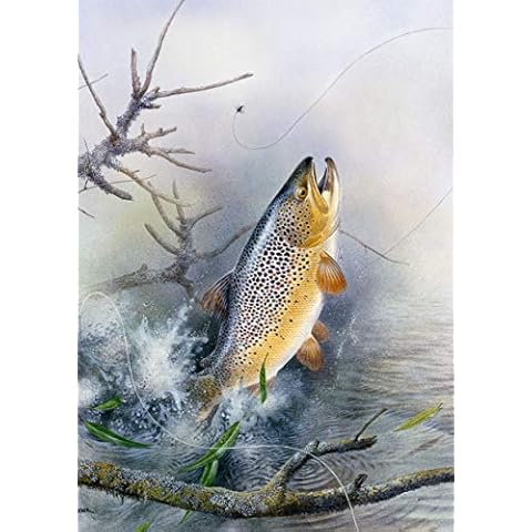 Fly Fishing Greeting Card with Leaping Trout Cover