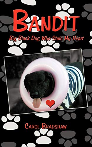 Bandit: Big Black Dog Who Stole My Heart