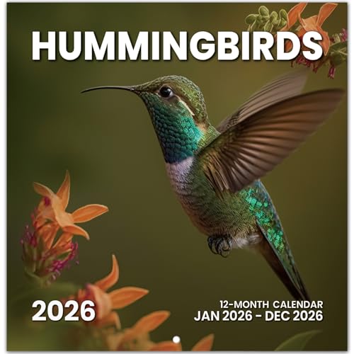 2026 Calendar, Hummingbirds Monthly Wall Calendar 2026 Runs from Nov 2025 – Dec 2026, Hanging Wall Calendar, 11.6' x 24'Opened, Full Page Layout for Organizing, Perfect Presen