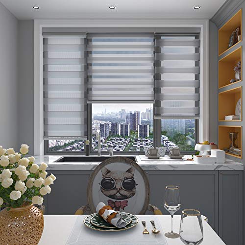 Changshade Cordless Zebra Roller Shade With Valance, Double Layered Window Blind For Day And Night, Light Filtering Window Treatment With Mesh And Opaque Fabric, 24 Inches Wide, Gray Rbs24Gy72A #TOP4
