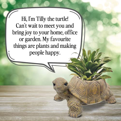 Turtle Planter For Succulents - Animal Planter For Indoor And Outdoor Plants, Turtle Pot Makes Ideal Gift For Any Turtle Lover #TOP2