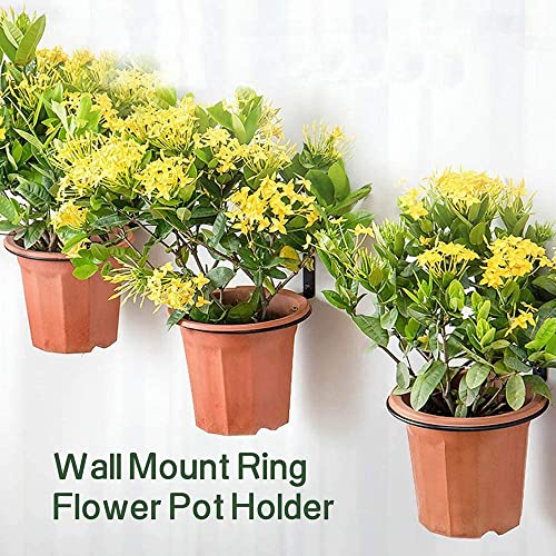 TORO Plant Holder Ring 8 Inch Wall Mounted, Flower Pot Hangers Metal Plant Stand Hanging Bracket Basket Hooks (Pack 06) (Black)