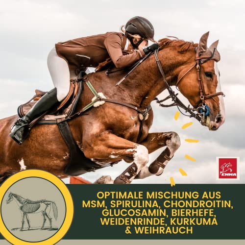 MSM Pferd Equi P Gelenk Booster 30ml – hochdosiert mit Glucosamin Chondroitin MSM Schwefel Vitamin C Bierhefe Kurkuma Spirulina Weidenrinde Weihrauch – Gelenke Sehnen Bewegungsapparat Pferde