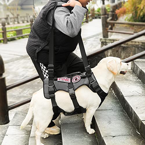 Noyal Dog Lift Harness Pet Support Rehabilitation Sling Lift Adjustable Padded Breathable Straps For Old, Disabled, Joint Injuries, Arthritis, Loss Of Stability Dogs #TOP1