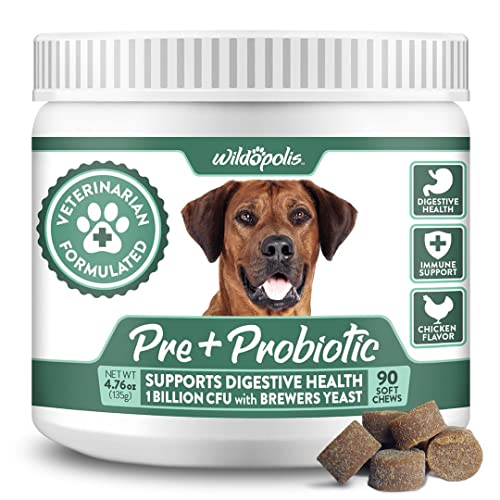 List of Ten Best Pre And Probiotics For Dog Top Picks 2023 Reviews