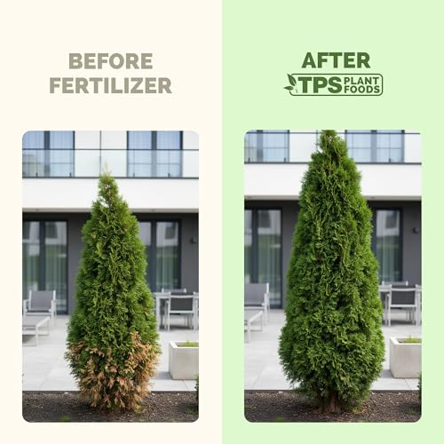 Fertilizante Líquido para Juníper, 32 oz miniatura 3