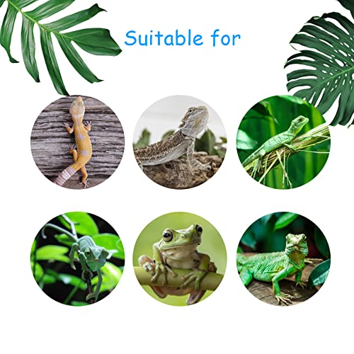 Image of 4 PCS Crested Gecko Coconut Hide Natural Lizard Coco Hut Reptile Hanging Nest Flexible Vine Habitat Decoration Bearded Dragon Terrarium Accessories for Tortoise Chameleon Snake Spider