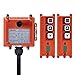 Crane Wireless Remote Control F21-2S AC/DC65V-440V Hoist Crane with Single Speed Button (2 Transmitter + 1 Receiver)