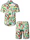JOGAL Herren Hawaii Hemd Männer Flamingo Kurzarmhemd und Kurze Hose Set Strand Outfit Sommerhemd Für Mann Grün Frucht Flamingo Mittel