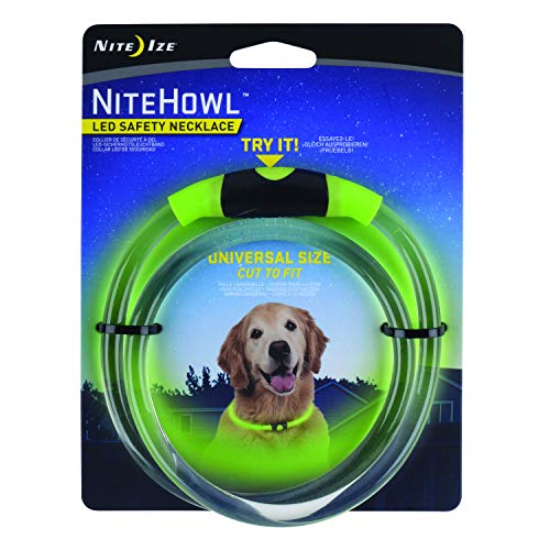 nitey leash amazon