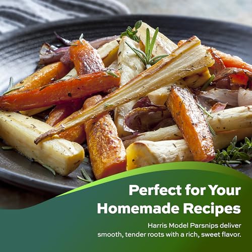 500+ Parsnip Seeds for Planting - Harris Model - Heirloom, Non-GMO, USA Grown - Slender Roots, Sweet Flavor, Frost-Tolerant - by RDR Seeds