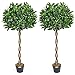 Price comparison product image Christow Artificial Bay Tree In Pot, Large 3ft 4ft Tall Indoor Outdoor Garden Topiary Ball, Twisted Wooden Trunk, Realistic Lush Green Leaves, Home Office Restaurant (4ft, 2 pack)