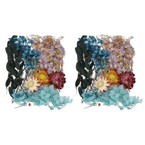 Set de Flores Secas Naturales uxcell 2 Piezas Azul miniatura 1