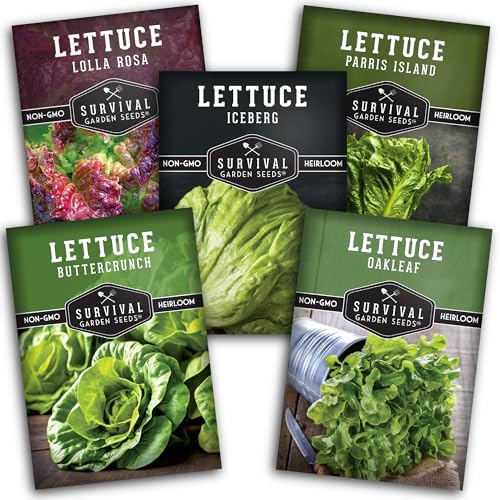 Lettuce Seeds 5-Variety Collection – Heirloom Romaine (Parris Island), Buttercrunch, Iceberg, Oakleaf, Lolla Rosa Lettuces for Planting – Non-GMO, Open-Pollinated – Survival Garden Seeds