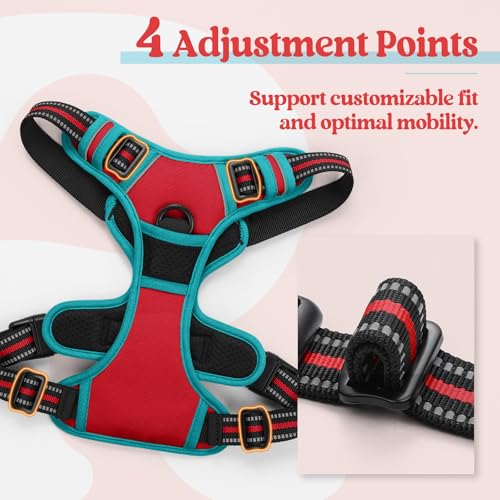 Image of rabbitgoo Dog Harness No Pull with 2 Leash Clips, Adjustable Soft Padded, Reflective Oxford No Choke Pet Vest with Easy Control Handle for Large Dogs, Red & Teal, L