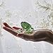 H&D HYALINE & DORA Small Crystal Frog Figurine Collection Paperweight Table Centerpiece Ornament(Green)