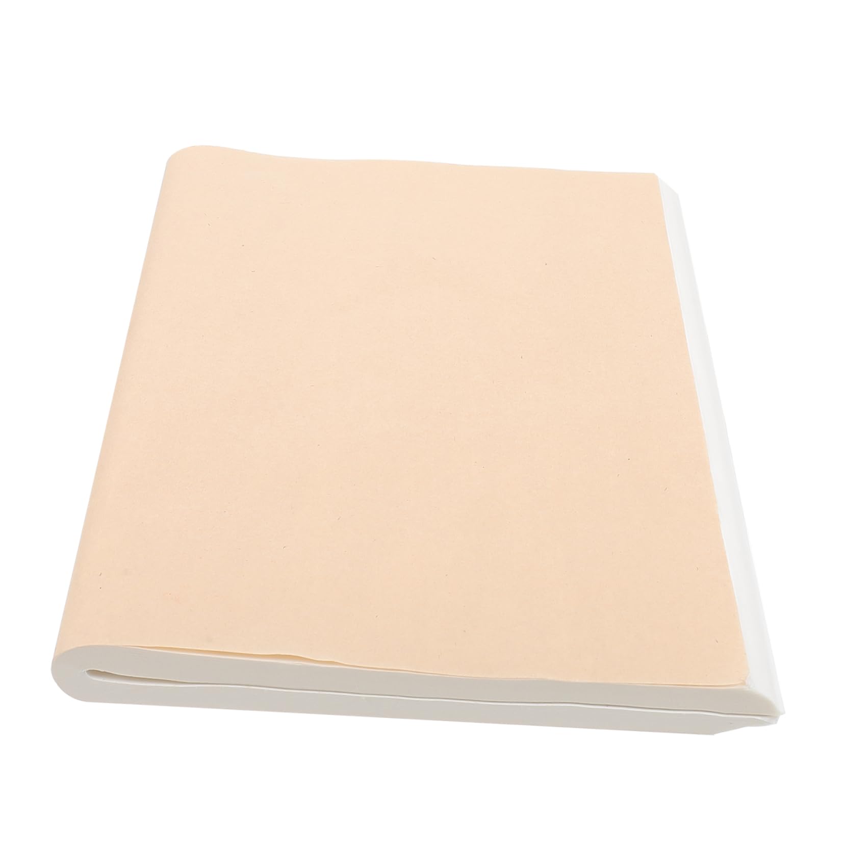 ERINGOGO 100pcs Xuan Rice Paper Calligraphy Paper Thickened Sumi Paper for Writing Painting