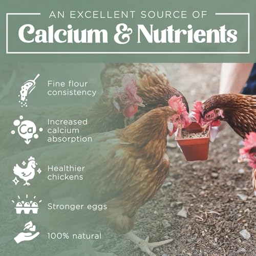 Southside Plants 359943031 Oyster Shell Flour - High Calcium Supplement For Chickens thumb #4