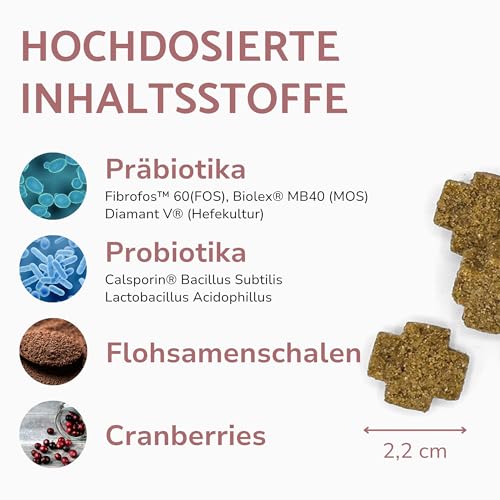 PUURY® Probiotika-Komplex für Hunde für eine ausgewogene Darmflora | Leckere Snacks zur Darmsanierung | Mit Flohsamenschalen, Prä- und Probiotika, Lachsöl | 90 Leckerlis (270g), 3 Monatsvorrat