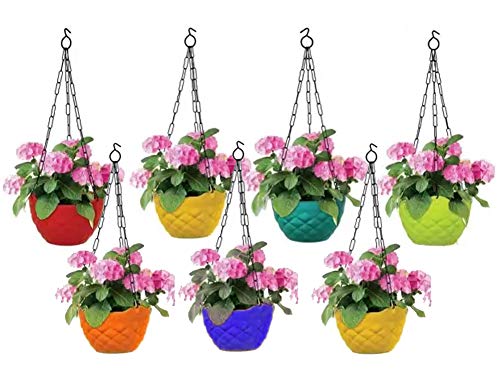 Go Hooked Plastic Hanging Pot, Multicolour, LxDxH - 19x12x13 cm, 7 Pieces (B07SQRQ53T) Amazon Price History, Amazon Price Tracker