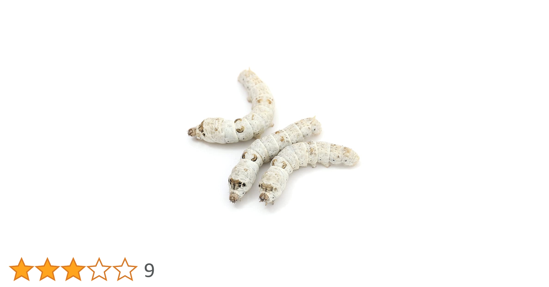 51pxpd8Dp7L.jpg_BO30,255,255,