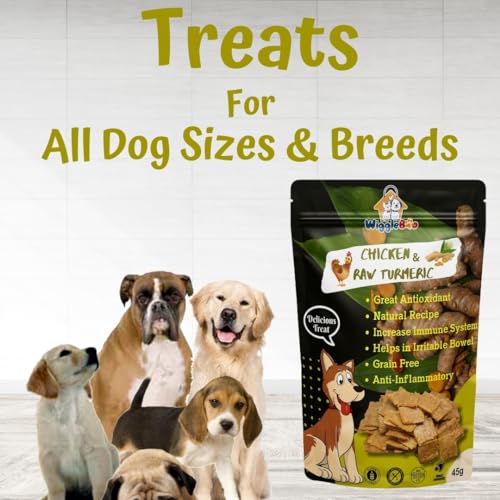 Image of Chicken & Raw Turmeric Dog Treat | Protein Rich | Fiber Rich | Crunchy Healthy Snacks | 45g