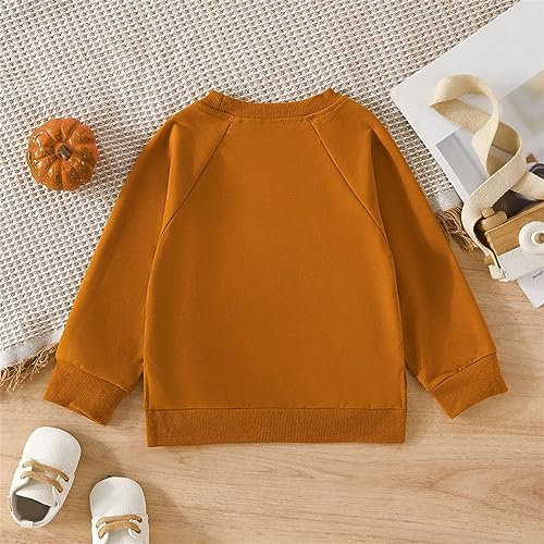 Girl 2024 New Sweater Toddler Girl Hoodie Solid Color Letter Printed Round Neck Long Sleeve Top For 1 To 5 Years2