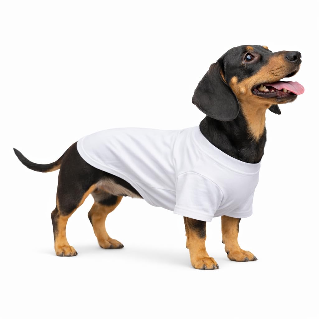 Photo 1 of Lovelonglong Pet Clothing Dog Costumes Dachshund Clothes Blank T-Shirt Tee Shirts for Dachshund Dogs,Corgi 100% Cotton White D-XL