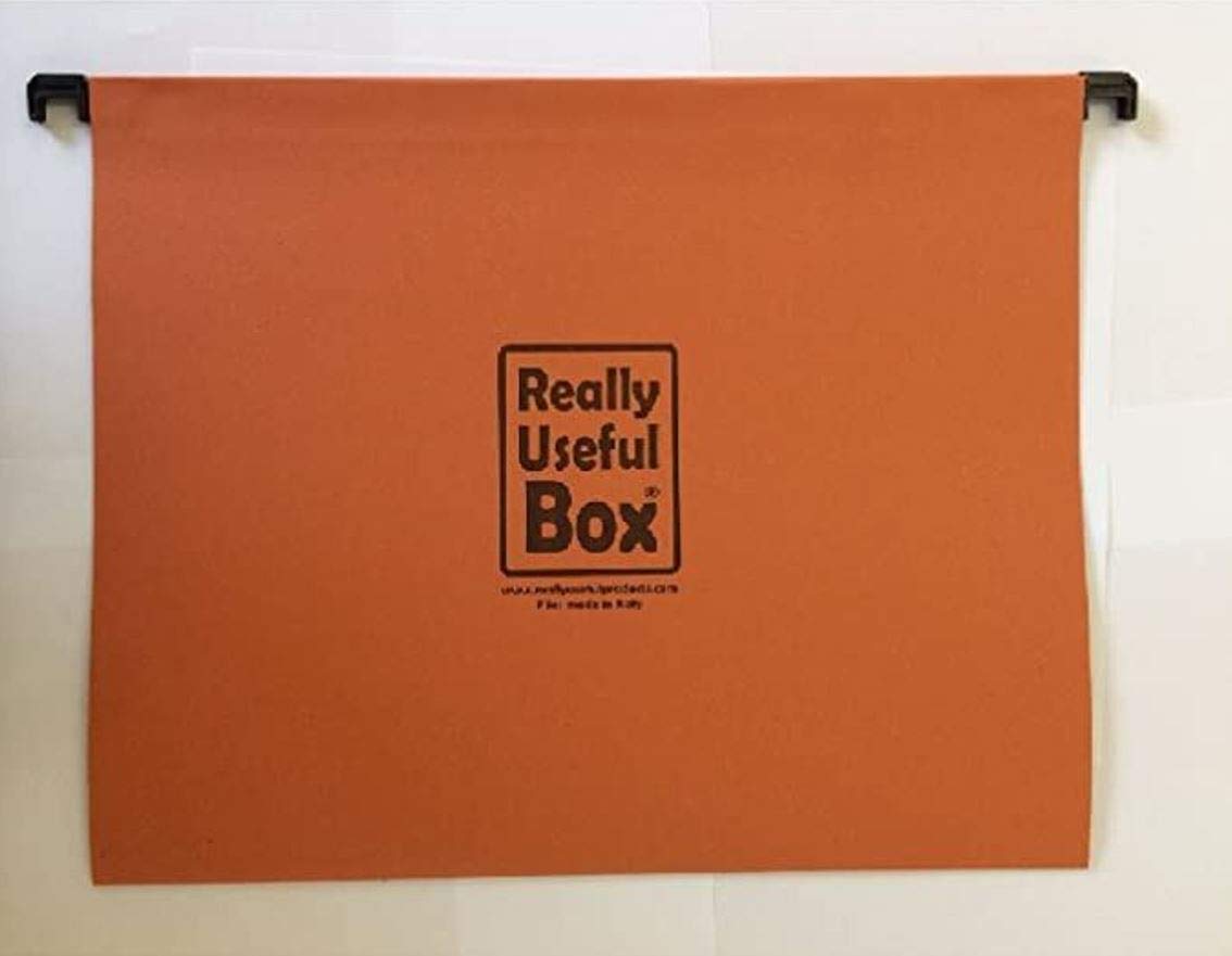 CONFEZIONE DA 50 CARTELLE SOSPESE, PER 24 35 42 DA 64 L DI REALLY USEFUL BOX