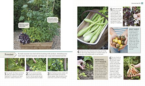 Grow All You Can Eat in 3 Square Feet: Inventive