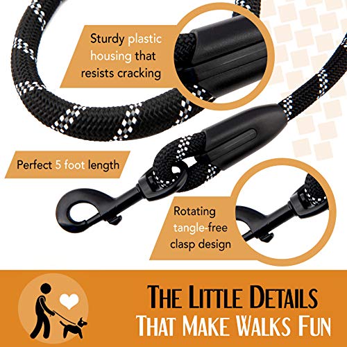 8 Best Dog Leash For Chewers in 2021 MyPetGuides