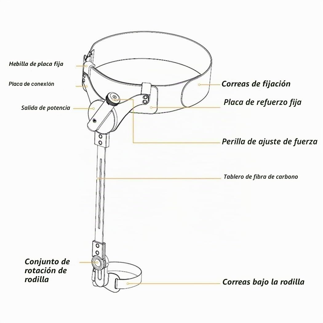 Bionic Body Power - Ayudas para caminar para adultos mayores, ayuda para caminar con movilidad, entrenamiento de piernas para caminar, aumenta la movilidad y la independencia