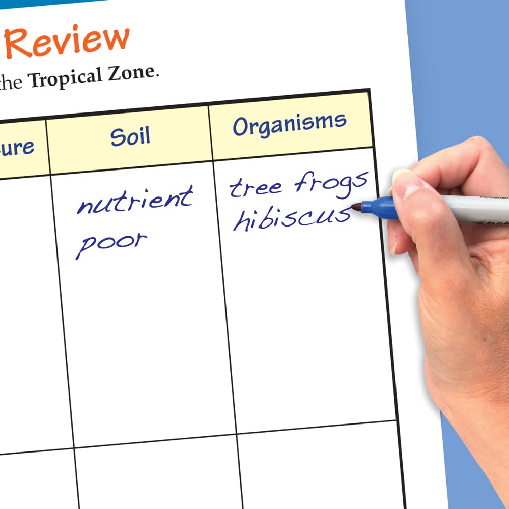 NewPath Learning Earth's Climate Laminated, Double-Sided “Write-On/Wipe-Off” Flip Chart - Set of 10, 12" x 18" Charts (34-6828)