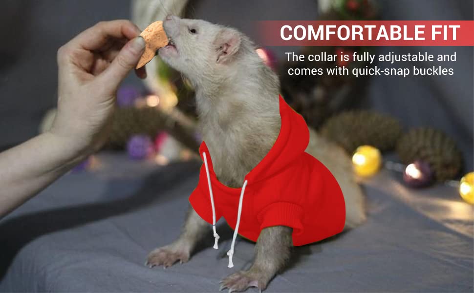 Red Ferret Sweater, Harness, and Leash Set - Ferret Clothes- Ferret Accessories - Clothes for Ferrets - Ferret Stuff - Hoodies for Ferrets - Ferret Accessories - Image 6