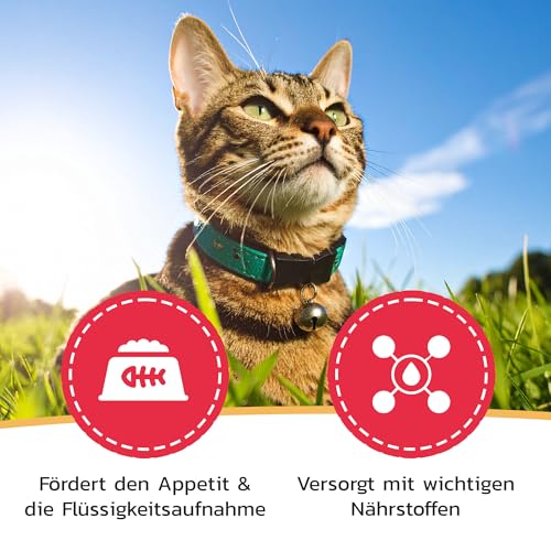 Liquidocare Appetitanreger Katze 180 ml – Hochkalorisches Tonikum mit Vitaminen & Taurin – Für schlecht fressende Katzen, leicht verdaulich & schmackhaft – Ergänzungsfuttermittel