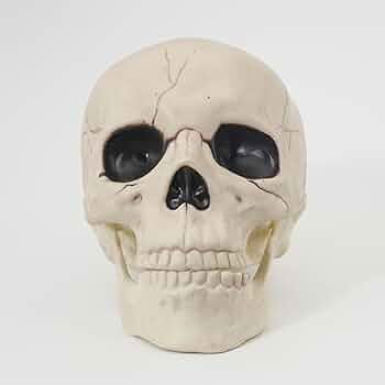 51py-Aeb0zL._AC_UF350,