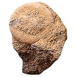 De bons matériels pour enseigner aux étudiants, plus naturels sûrs